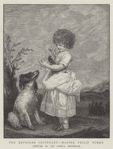 Il centenario di Reynolds, Master Philip Yorke da Joshua Reynolds
